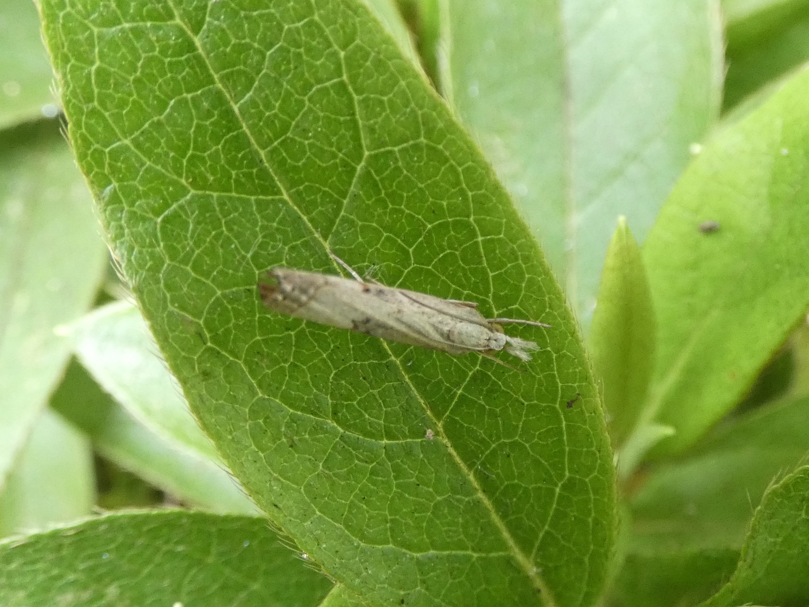 photo_1